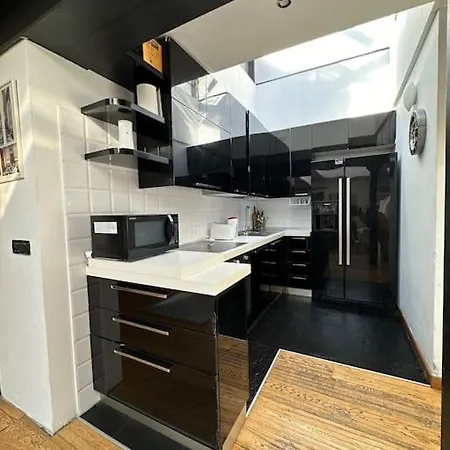 Nuovo Loft A Trastevere Con Super Terrazzo *